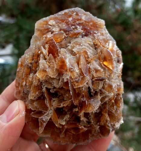 Golden selenite desert rose - selenite,