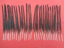 30 Semi-Stripped Crow Quill