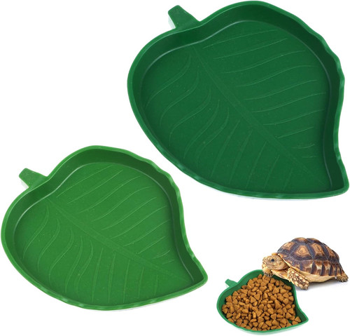Pcs leaf reptile food water - leaf,