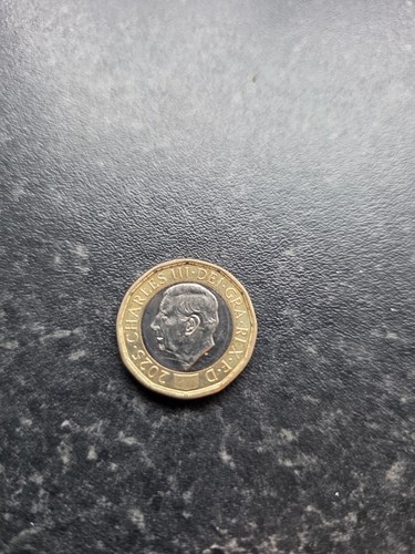 Pound coin with bees - bees, 2025