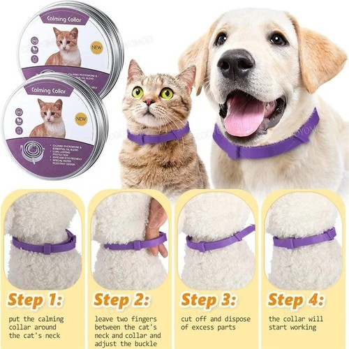 Month protection pet - 8,