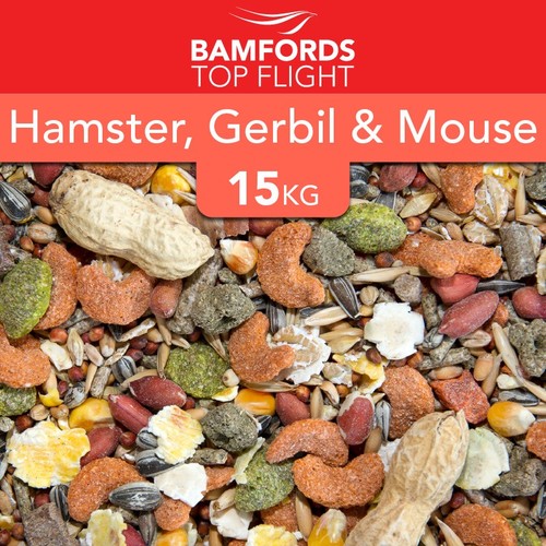 Bamfords hamster gerbil - gerbil, mouse