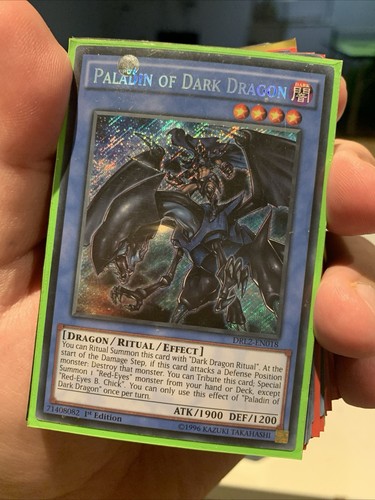 Paladin dark dragon - paladin,