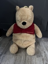 Winnie The Pooh Hot Water