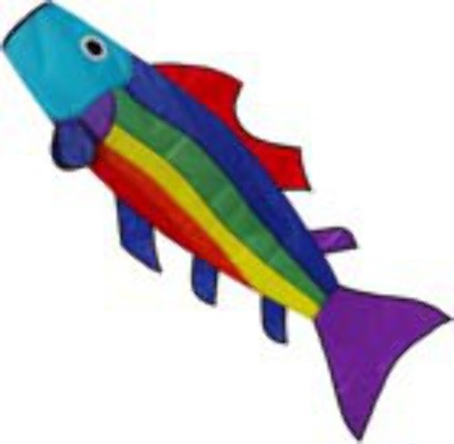 Flagseller rainbow fish - uk,