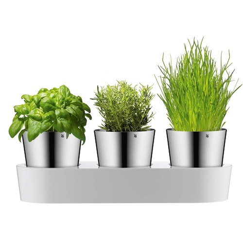 Wmf gourmet herb pot - wmf, with