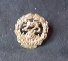 Royal Hampshire Regiment Volunteer's and or's cap badges
