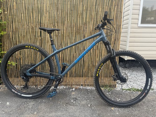 Santa cruz chameleon - santa,