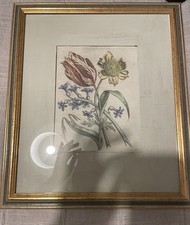 Vintage gold framed large Colored Floral Botanical Engraving picture cottagecore