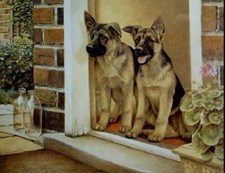Home Guard German Shepherd