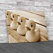 Charming Rubber Ducks For
