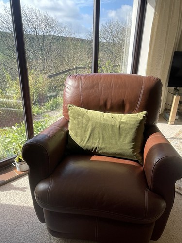 Recliner armchair brown - armchair,