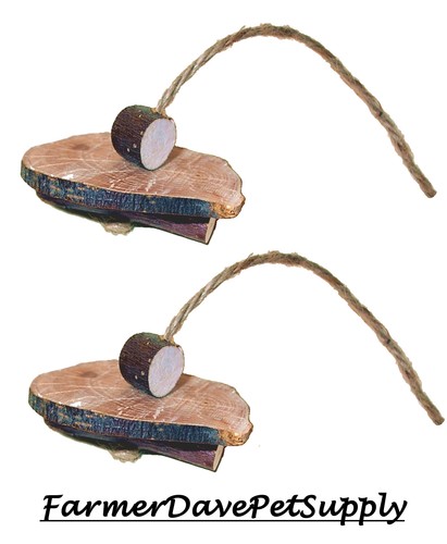 Dual organic teeter toy - -,