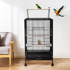 Bird cage open play - bird,