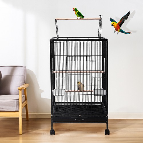 Bird cage open play top - cage, parrot