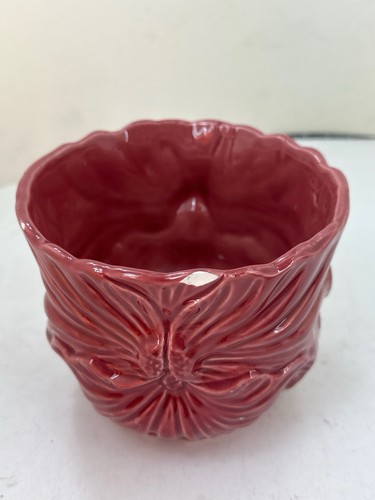 Italian red pink cabbage leaf - italian,