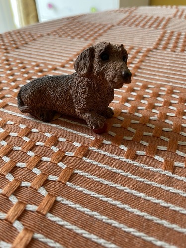 Cute dachshund puppy with - puppy,