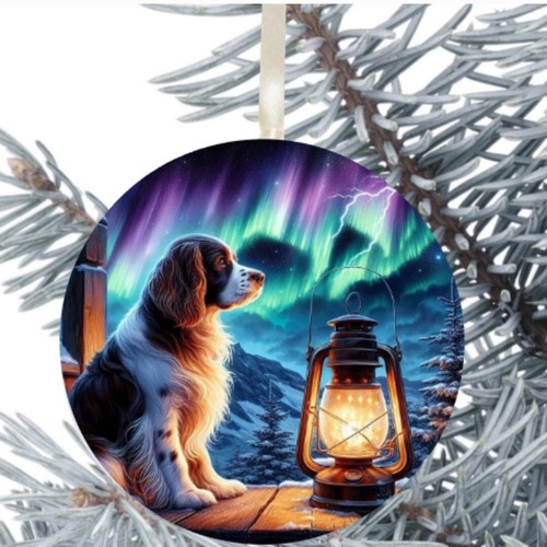 Springer spaniel hanging - springer,