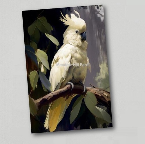Fridge magnet cockatoo - fridge, parrot