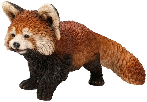 Vivid arts realistic red - realistic,