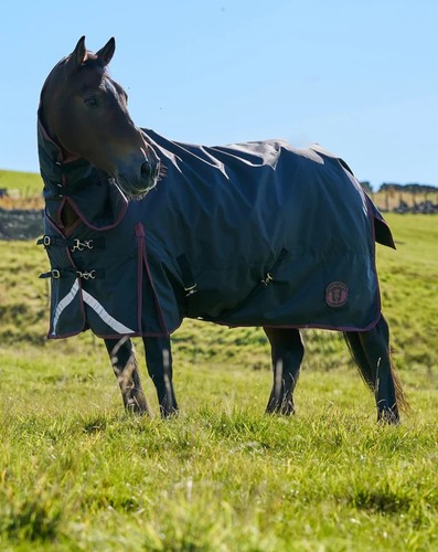 Royal scot turnout rug - royal,