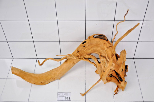 Premium aquarium natural wood - premium,