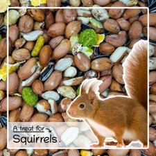 Squirrel Food 900g – Seed & Nut Mix with Monkey Nuts & Maize – SeedzBox Feed