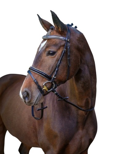 Covalleiro snaffle bridle - snaffle,