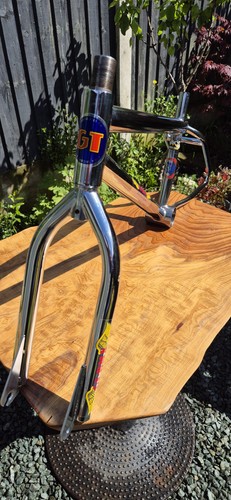 Pro frame and forks old - gt,