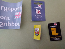 RNLI Torbay (Devon) flag badge