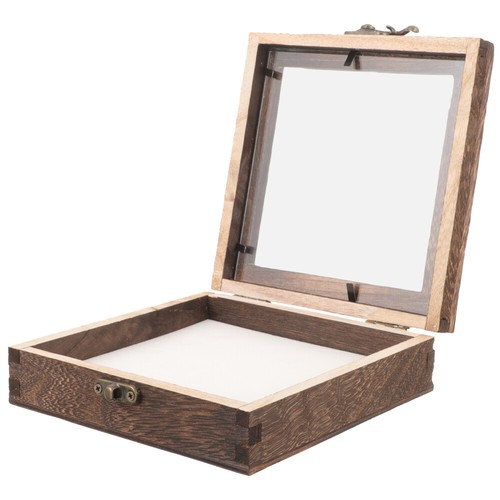 Foam glass insect specimen - specimen, box
