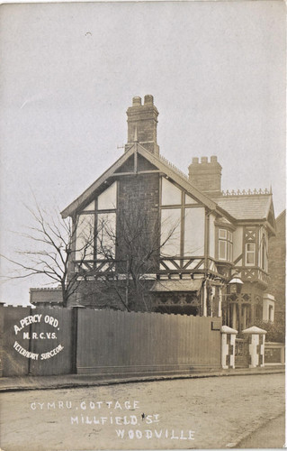 Woodville cymru cottage - woodville.,