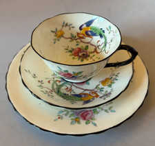 Vintage Chelson China Bird Of Paradise Cup Saucer and Cake Plate