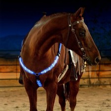 Horse LED Harness Nylon Night