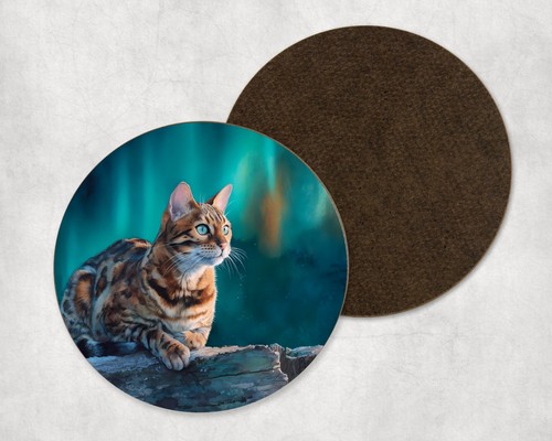 Bengal cat kitten northern - bengal,