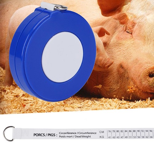 Cattle pig body weight - pig, tape