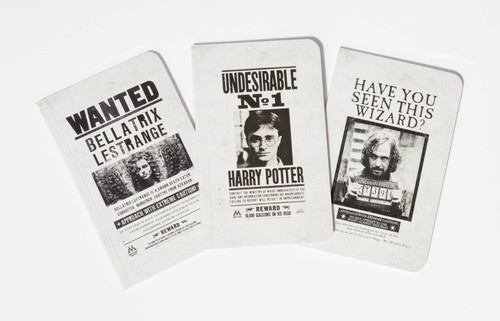 Harry potter wanted posters - harry,