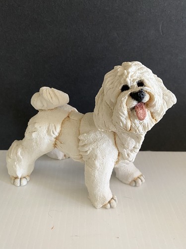 Dog breed apart bichon - dog,