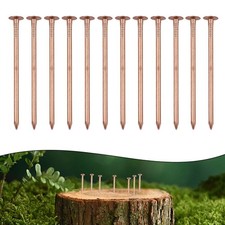 Copper Tree Stump Killer