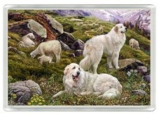 PYRENEAN MOUNTAIN DOG TWO DOGS NOVELTY ACRYLIC FRIDGE MAGNET GREAT GIFT