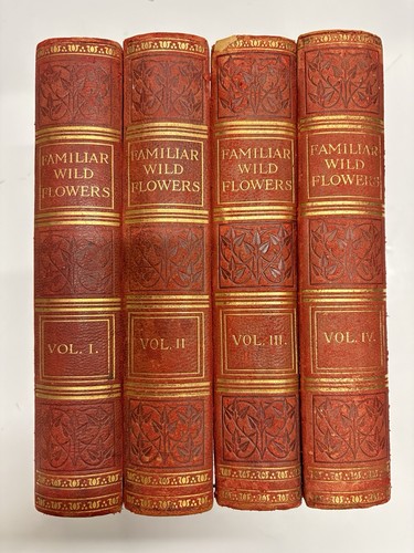 Familiar wild flowers volumes - flowers,