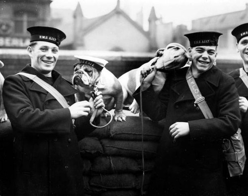 Two royal navy - royal, from