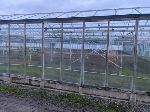 Commercial greenhouse glass - commercial,