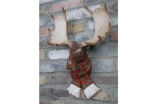Moose Head With Scarf Wall