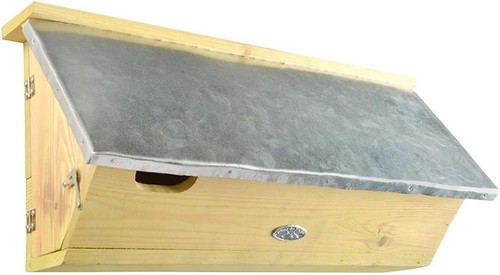 Swift nest box - swift,