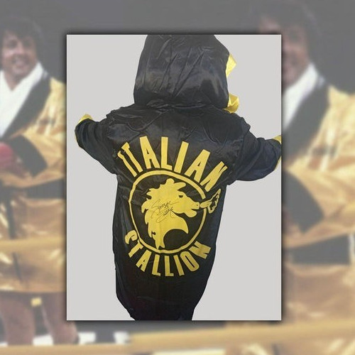 Rocky balboa sylvester - rocky,