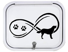 Golden Lab Labrador Infinity