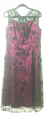Bnwt lace sweetheart dress - lace,