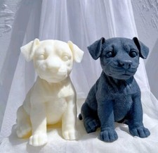 Jack Russel Large Scented