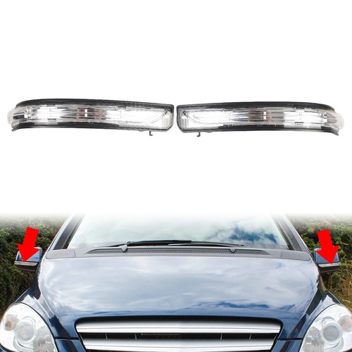 1pair wing mirror indicator - wing,